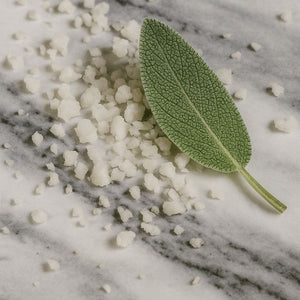 Duftwachs für Duftlampe SAGE & SEA SALT