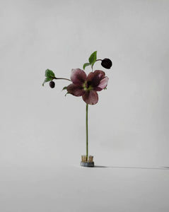 Ikebana Kenzan Blumenigel für Vasen