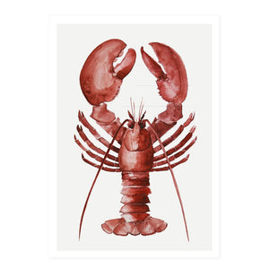 Faltkarte mit Umschlag LOBSTER